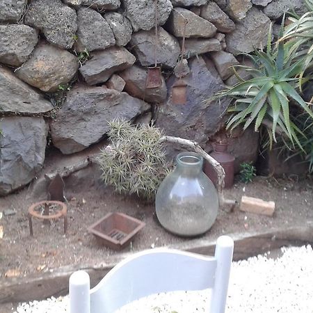 Il Tarlo Bed and Breakfast Seneghe Buitenkant foto