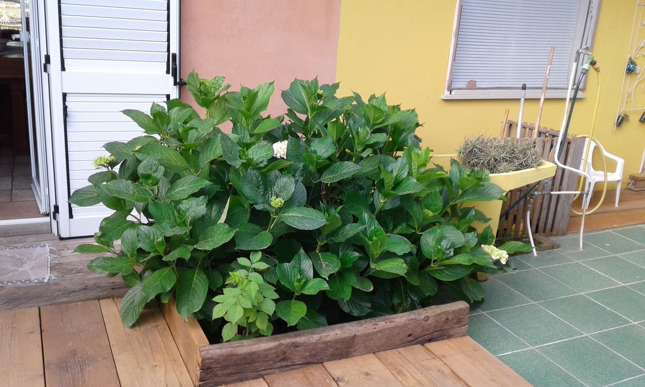 Il Tarlo Bed and Breakfast Seneghe Buitenkant foto